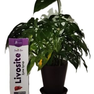 Livosite Syrup